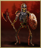 Skeleton Warrior!